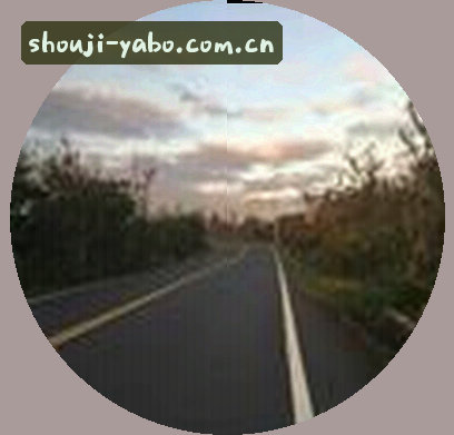 赵哥